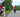 Meet the Man who e-Cycled Across America On A Rize City MD