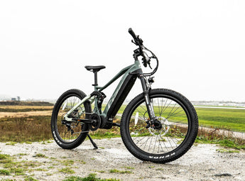 e bike mountainbike 1000 watt RX Dual 1000W eBike | Bafang M620 Full Suspension