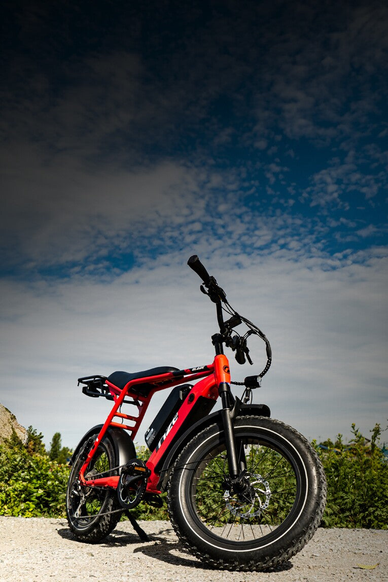 Rize Bikes: Elite E-Bikes for Superior Range & Free Shipping