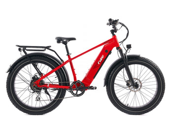 e bike fully leasen Leisure E-Bike: Conquer Terrain with Rize